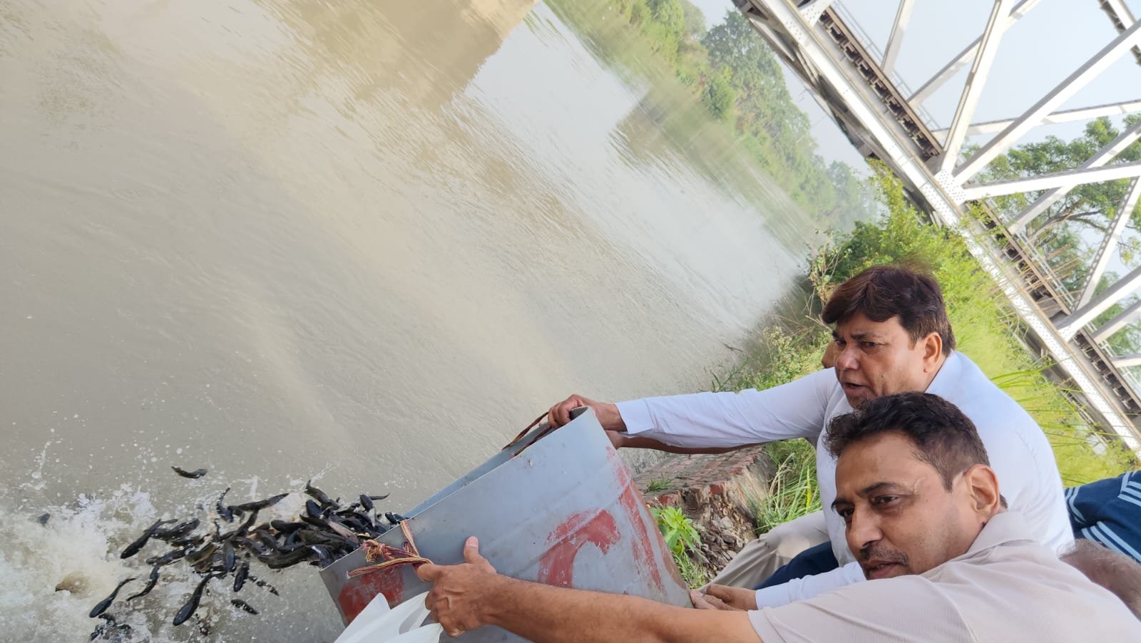 Fish liberation Jal Jeevan Seva